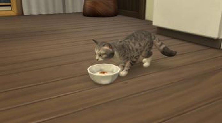 Rice Cooker/电饭煲 screenshot