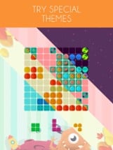 1010! Block Puzzle Game Image