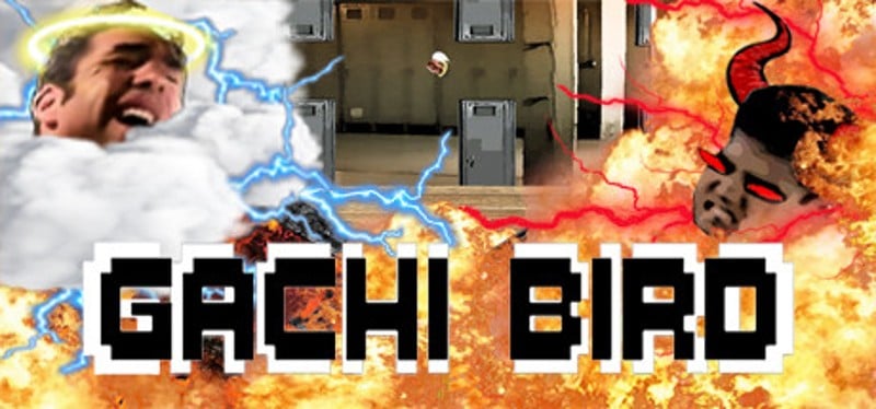 Gachi Bird Image