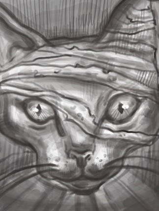 catRA Image