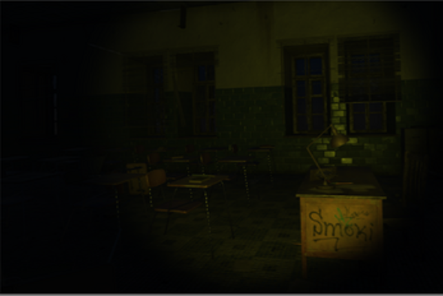 Sole survivor VR Image