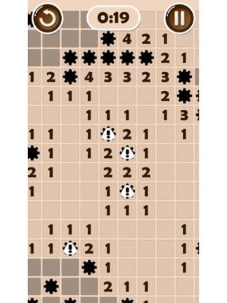 Real Minesweeper Image