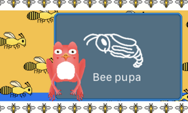 Taxa Frogy Image