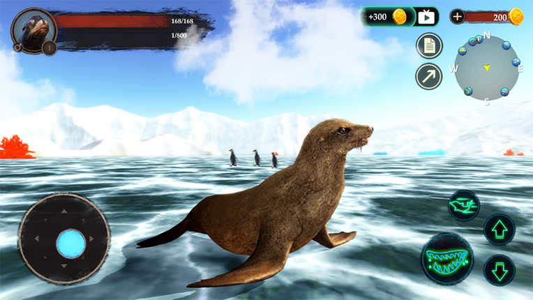 The Sea Lion Image