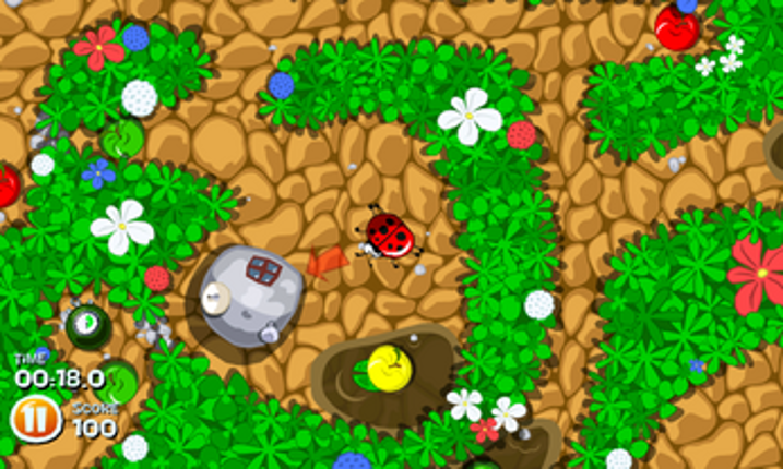Beetle goes Home screenshot