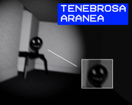 Tenebrosa Aranea Image