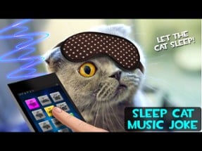 Sleep Cat Music Joke Image