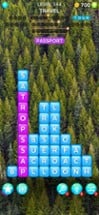 Word Cubes: Find Hidden Words Image