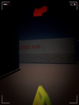 Fear Run Image