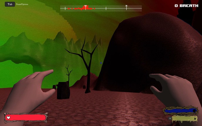 Fleshwalk: An Experience Image