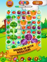 Forest Rescue Farm: Addictive Match 3 Puzzle Image