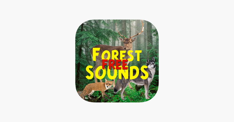 Forest Sounds Free Image