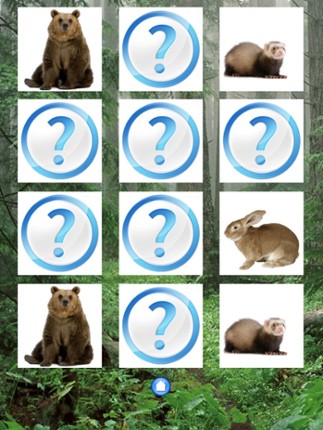 Forest Sounds Free screenshot