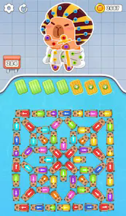 Capybara Mania: Sorting Puzzle screenshot