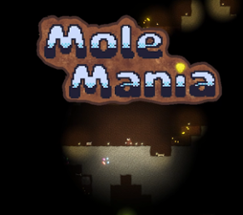 MoleMania Image