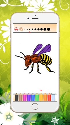 Coloring Book Insect and Arachnid: Learn to paint and color a bee, spider and more screenshot