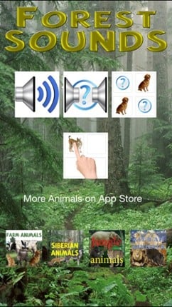 Forest Sounds Free Image