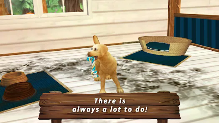 My Animal Hotel Premium Image