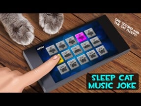 Sleep Cat Music Joke Image