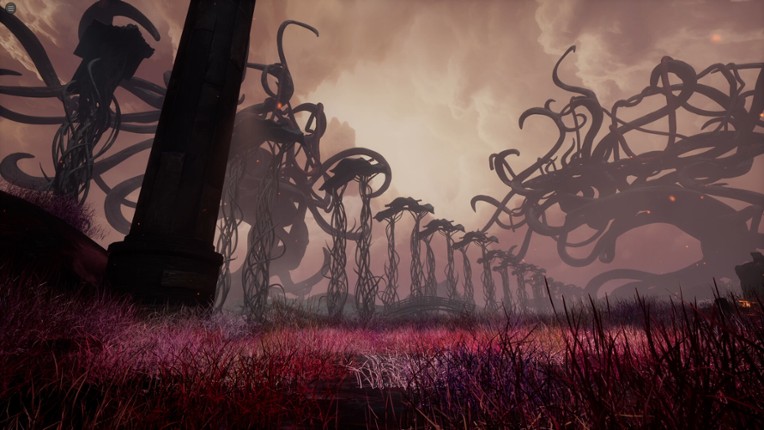 The Unnamed Image