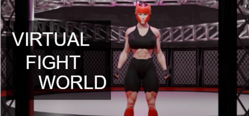 Virtual Fight World Image
