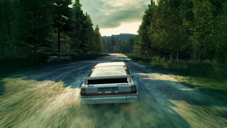 Dirt 3 screenshot
