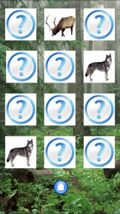 Forest Sounds Free screenshot