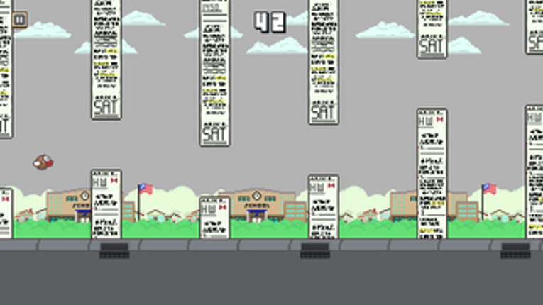 High School Bird Image