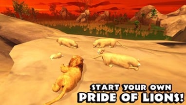 Safari Simulator: Lion Image