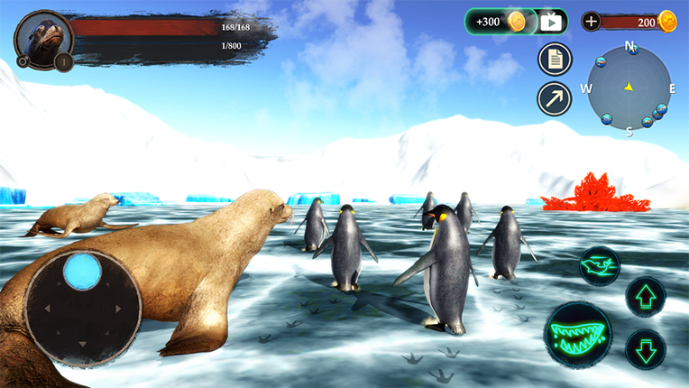 The Sea Lion Image