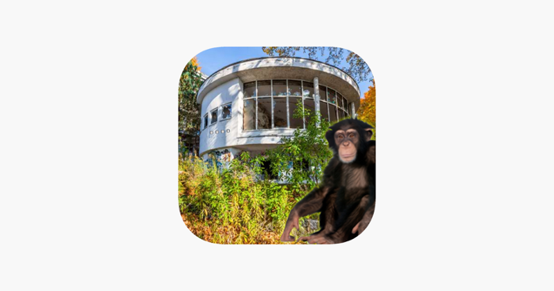 Abandoned Building Monkey Escape Image