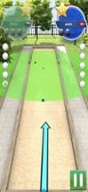 Bocce 3D Image