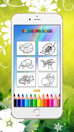 Coloring Book Insect and Arachnid: Learn to paint and color a bee, spider and more screenshot