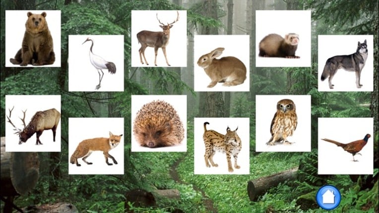 Forest Sounds Free Image