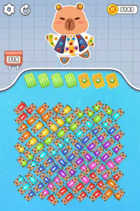 Capybara Mania: Sorting Puzzle screenshot