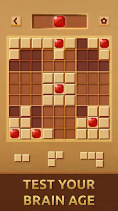 Gemdoku: Wood Block Puzzle screenshot