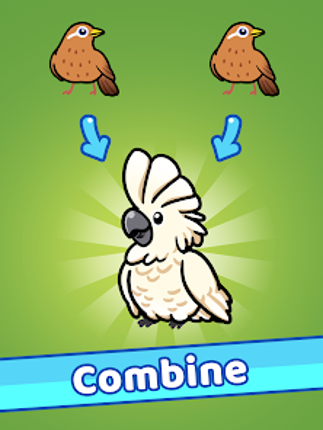 Idle Bird Park screenshot