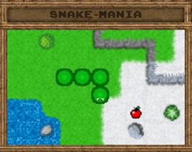 snake-mania Image