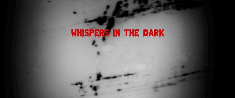 Whispers in the Dark Game Cover