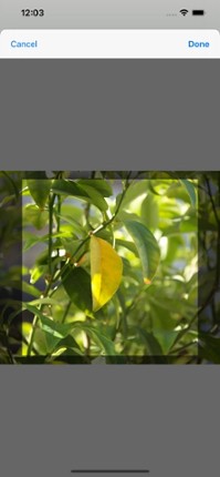 15Puzzle - Enjoy Various Tiles screenshot