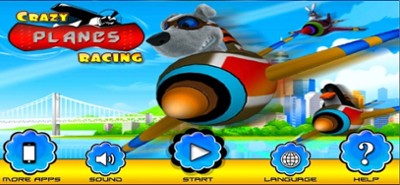 Crazy Planes Racing Simulator Image