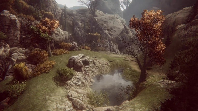 Natural Elements Online Image