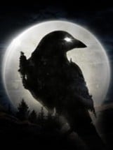 Night Crows Image