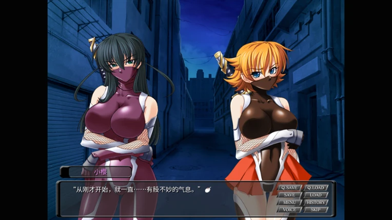 对魔忍阿莎姬2 Image