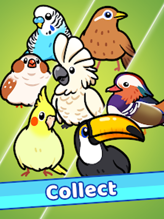 Idle Bird Park Image