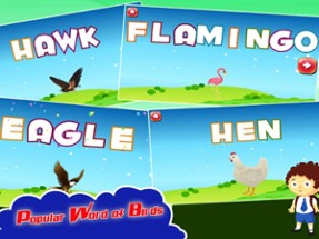 Kids Spelling Learning Birds - Phonics Words Free Image