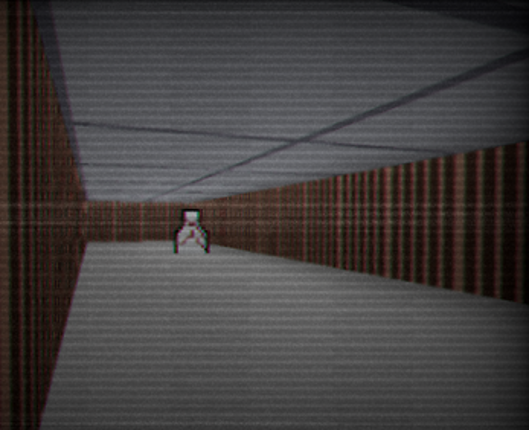 Liminal Voxels Image