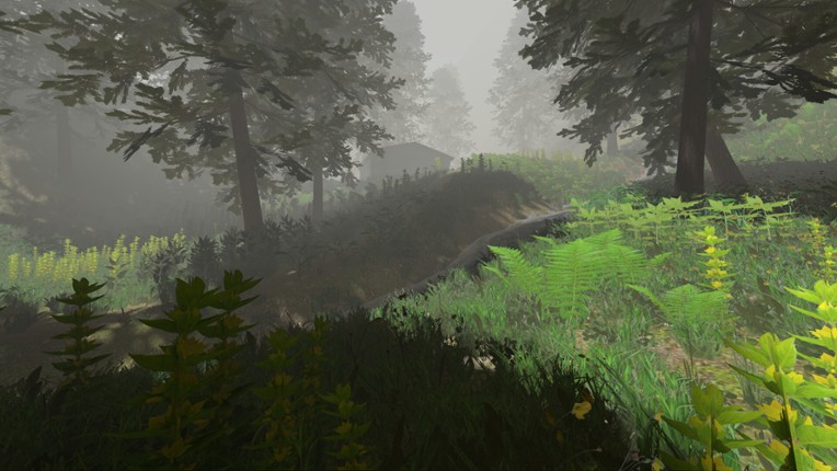 Wassermann screenshot