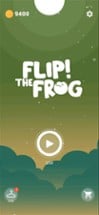 Flip! the Frog: Jumping Arcade Image