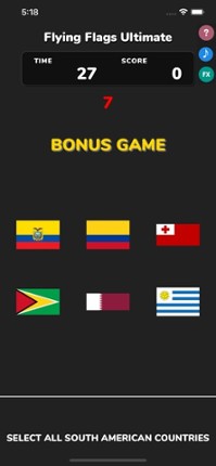 Flying Flags Ultimate screenshot